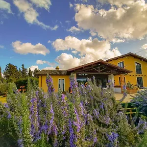 Gospodarstwo agroturystyczne Erba Regina, Frascati