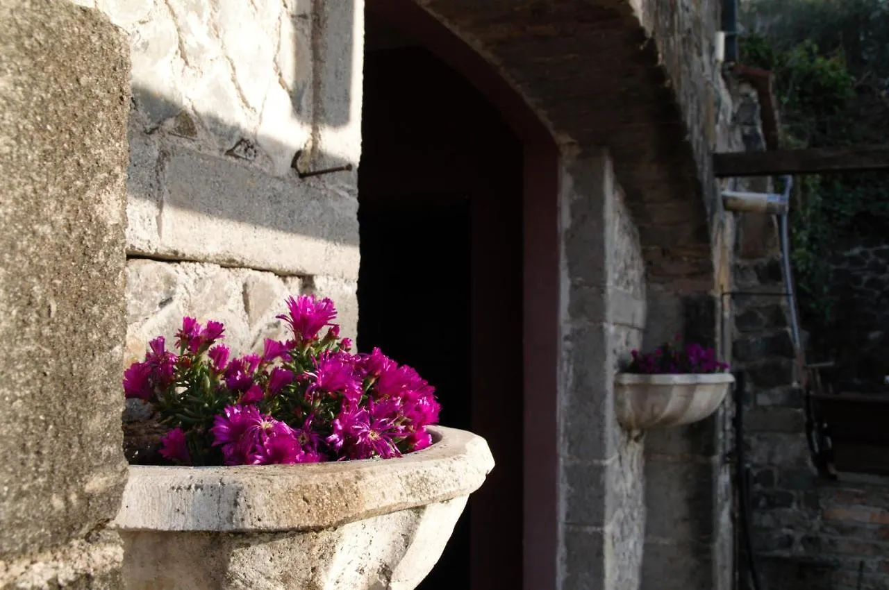 La Corte Di Nonno Frascati Country house