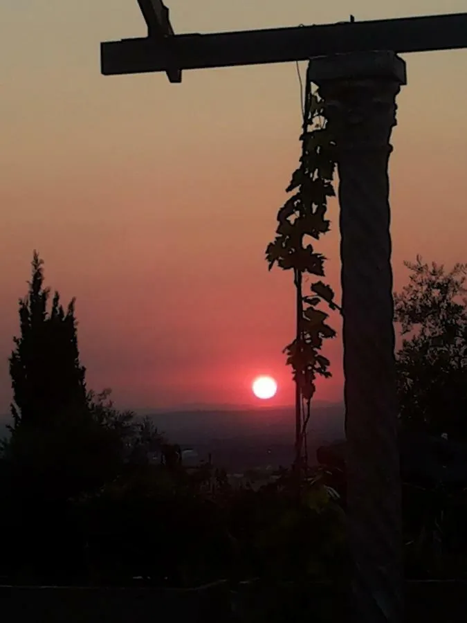 La Corte Di Nonno Frascati 0*,  Italy
